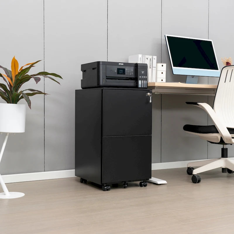 2 Drawer Rolling Locking Office File Cabinet with Lock, Anti-tilt Wheels